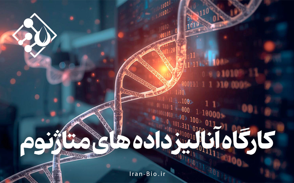 کارگاه آموزشی آنالیز داده های متاژنوم