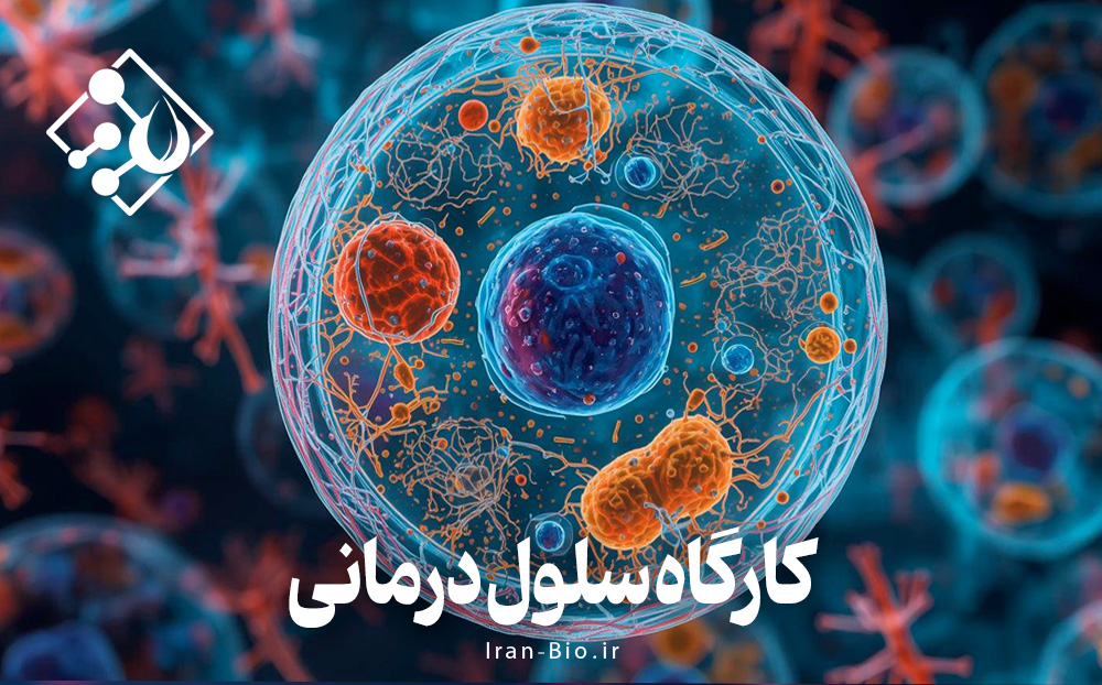 کارگاه آموزشی سلول درمانی