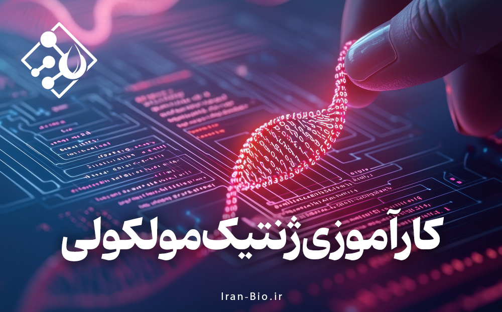 دوره کارآموزی بین المللی ژنتیک مولکولی 